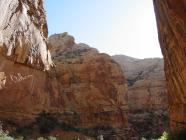 Click for large version