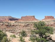 Click for large version