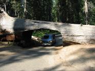 Click for large version