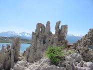 Click for large version