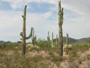 Click for large version