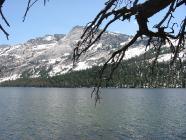 Click for large version